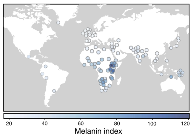 Melanin index